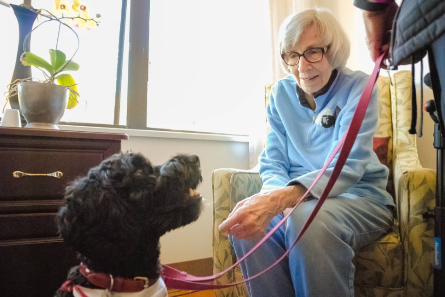 Elderly_woman_looking_at_dog